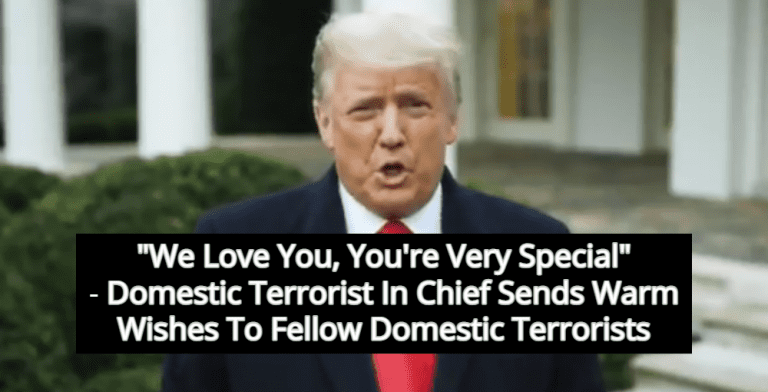 Trump’s Message To Capitol Terrorists: ‘We Love You, You’re Very Special’ (Image via Screen Grab)