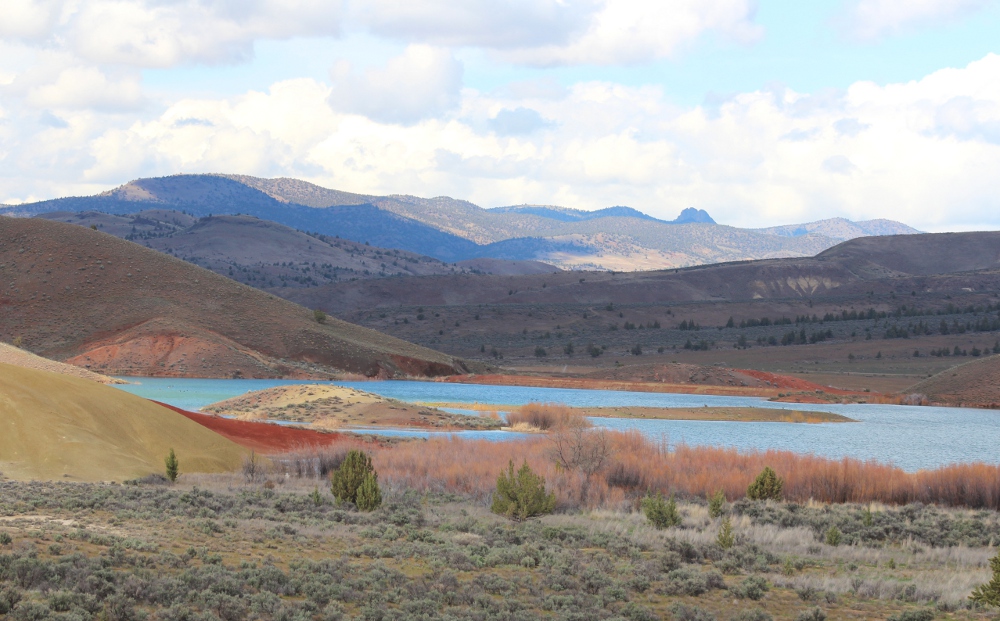Wildlife refuge near Painted Hills, John Day Fossil Beds, Oregon. Lupa, 2013.
