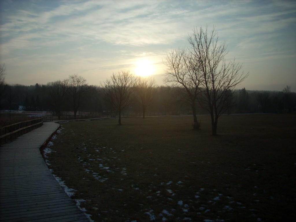 East Bluff Dawn