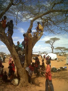 Children climbing a tree in Dadaab regufee camp. By DFID - UK Department for International Development, from http://commons.wikimedia.org/wiki/File:Children_climb_in_a_tree,_in_one_of_the_Dadaab_refugee_camps,_north-east_Kenya_(5942667571).jpg