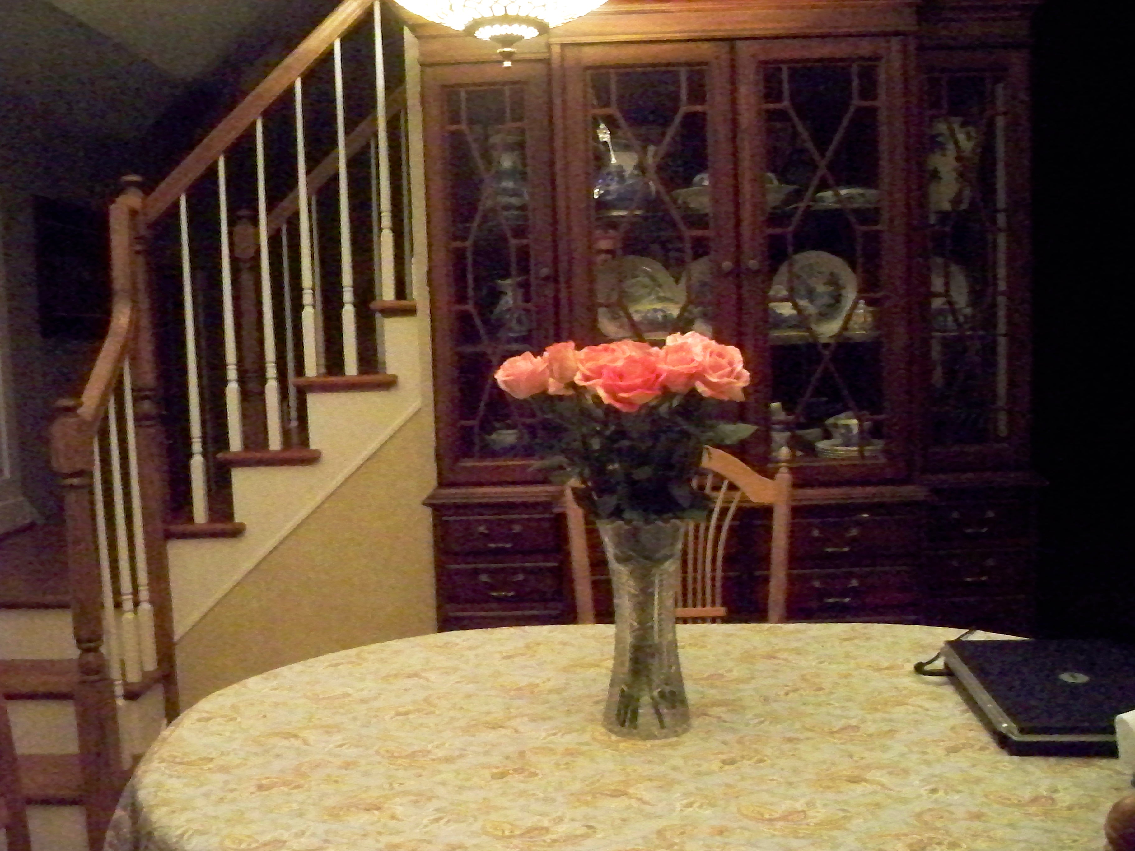 Iphone pics 2010 127
