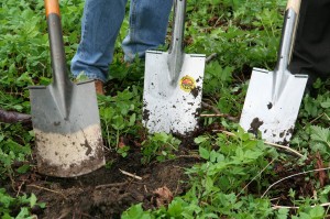 gardening-331986_1280