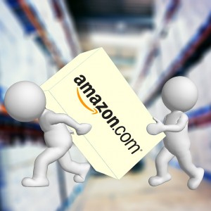 amazon-881307_1280