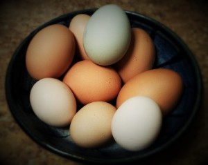 eggs