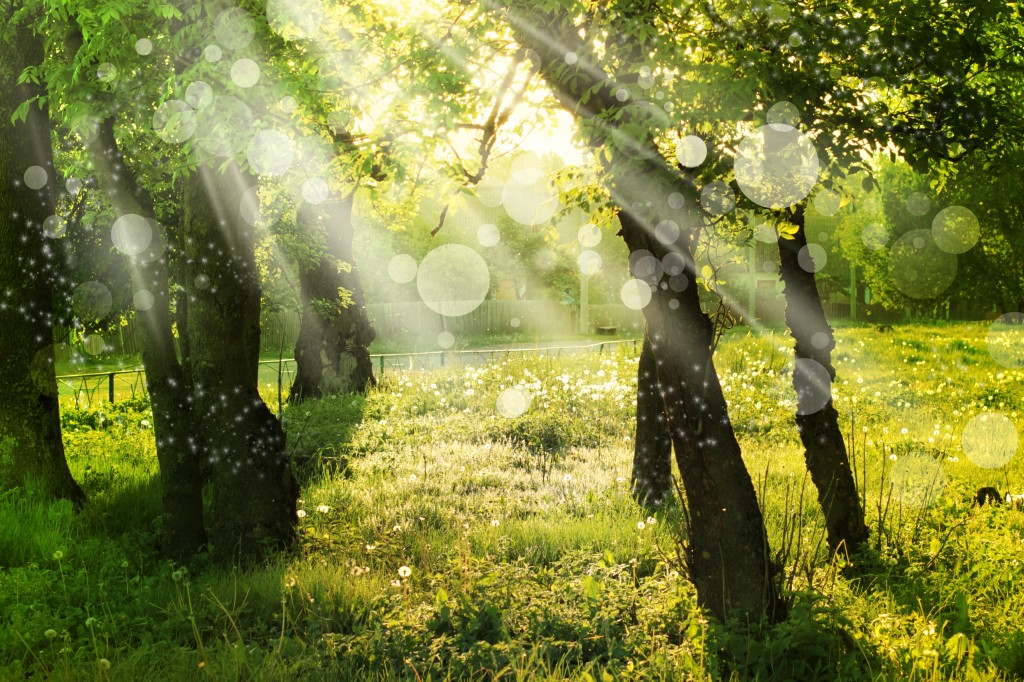 shutterstock_132604040