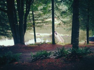 The beautiful lake in question, glimpsed through the beautiful trees