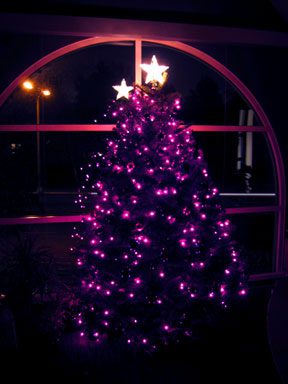 The Advent tree in the window of my office at Irvine Presbyterian Church