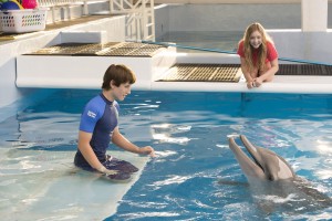 dolphintale2