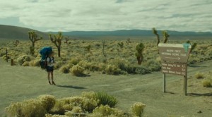 Strayed in the desert