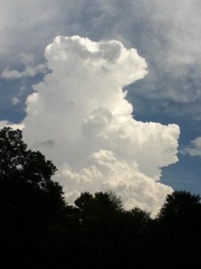 cumulus cloud