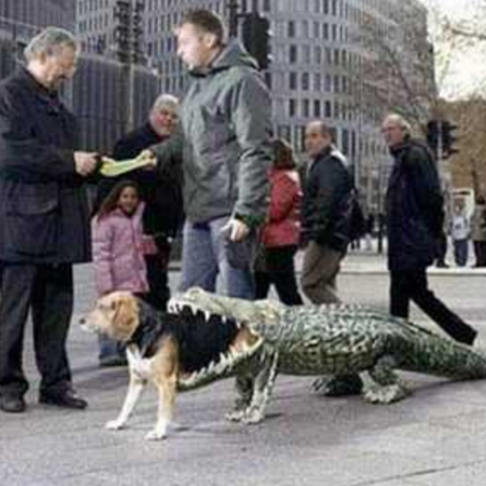 11 hilarious dog Halloween costumes-2