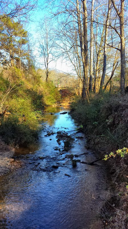 Snapfinger Creek
