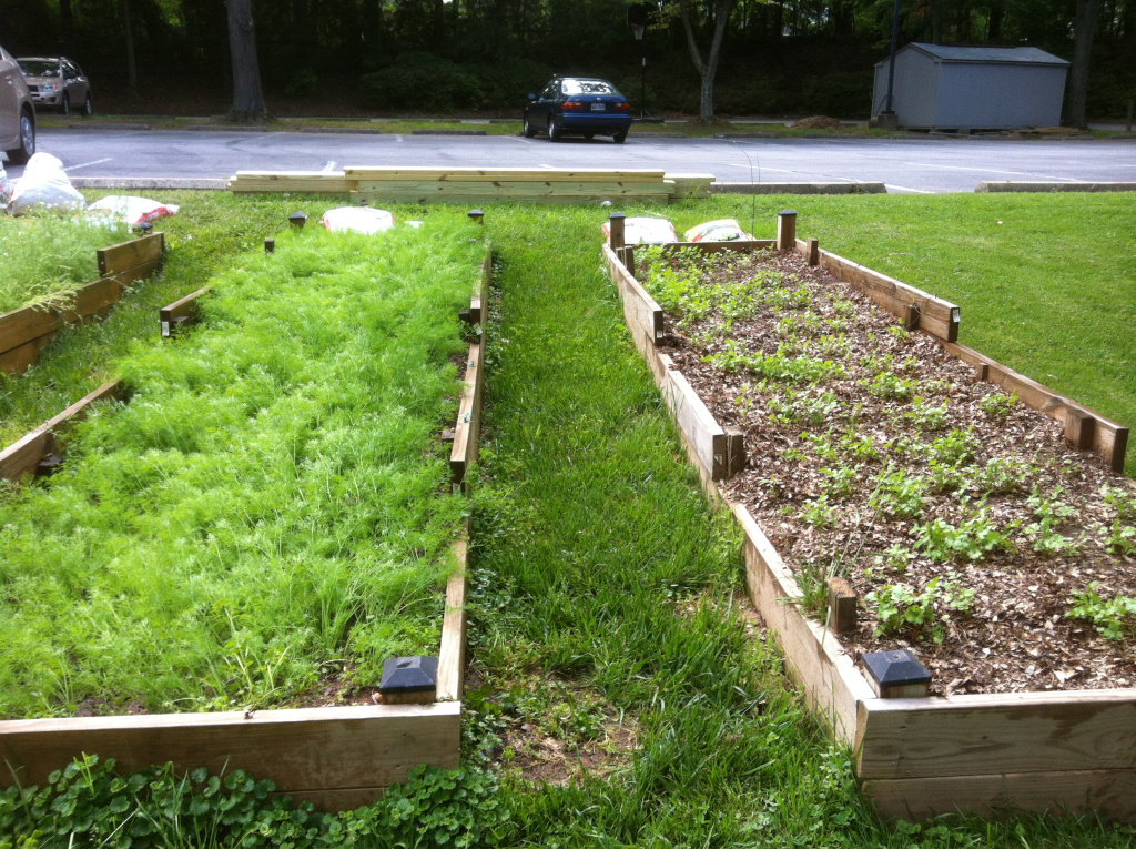 community garden
