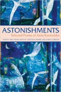 astonishments kamienska