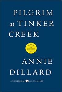 pilgrim at tinker creek annie dillard