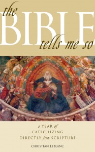 thebibletellsmeso_bookcover