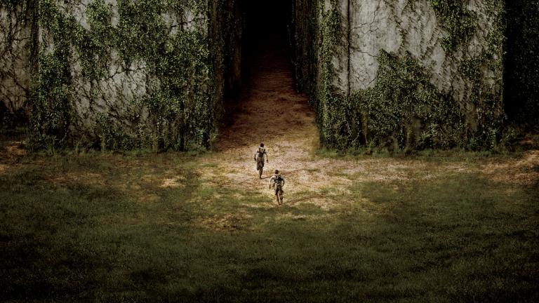 The Maze Runner - A challenge to get out of the maze