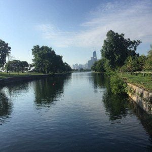 "Self-care in Nature —Lincoln Park" (photo credit: Carl Gregg)