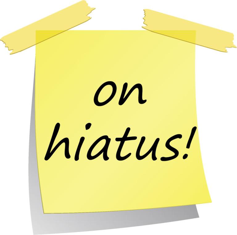 Image result for on hiatus