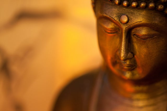 52 Buddha Quotes On Life, Meditation And Peace | Sunil Daman