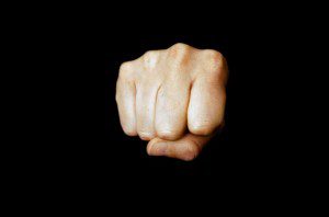 Fist by George Hodan (public domain image).