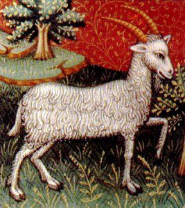 The moon will go direct in Capricorn at about 4 pm PST today. Zodiac images scanned from a medieval manuscript on astrology (15th century). Public domain image courtesy of Wikimedia Commons.