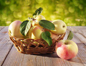 basket-with-apples-larisa-koshkina