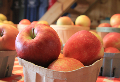 jg_2011_1013_web_apple1