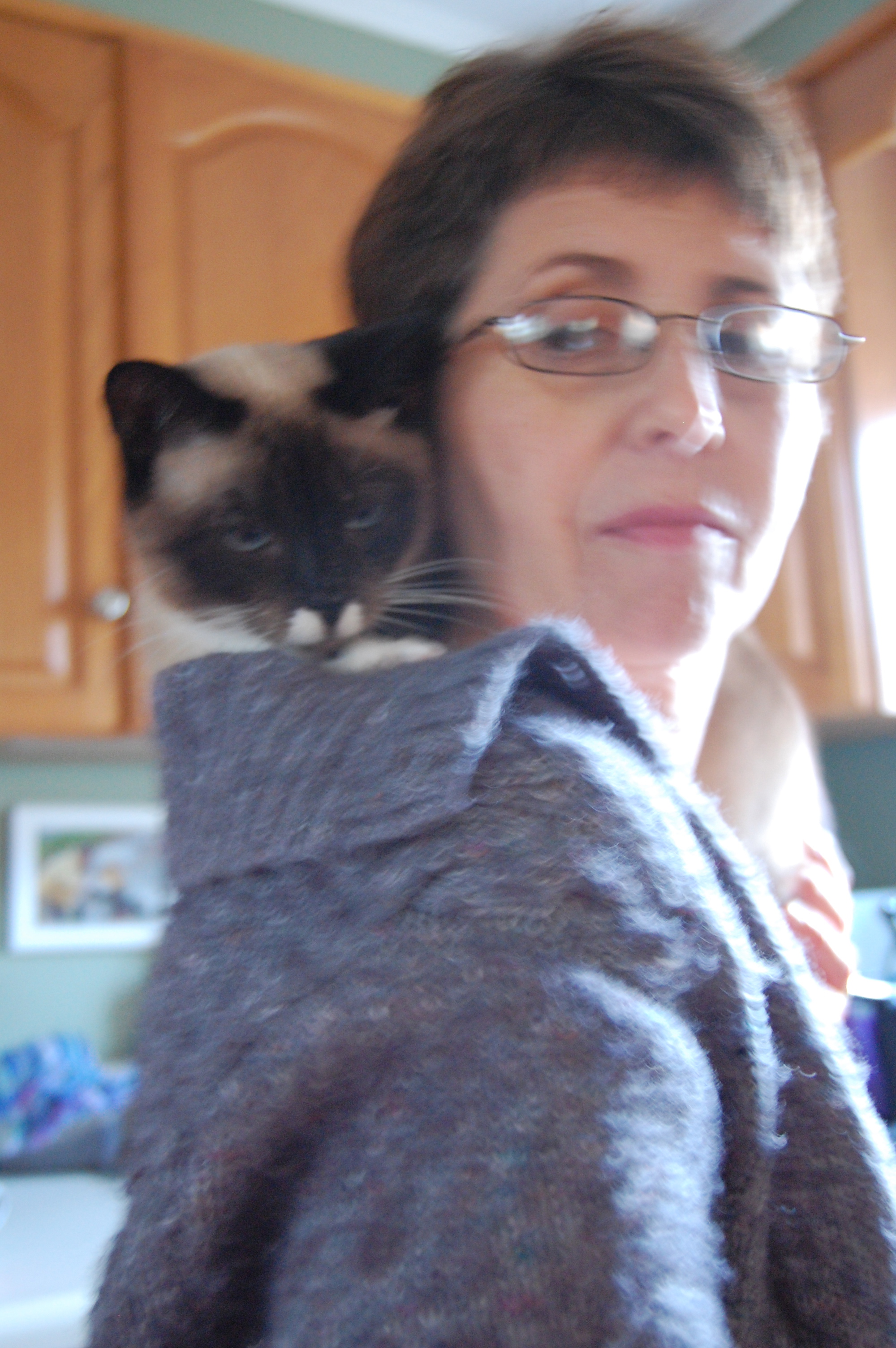 My most-beloved Percy-cat with my mom. This is a very usual Percy position. He really likes to get INSIDE your cardigan or bathrobe, if you'll let him.