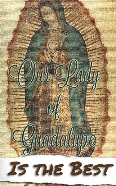 Guadalupe copy