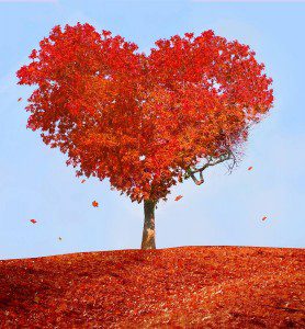 heart tree