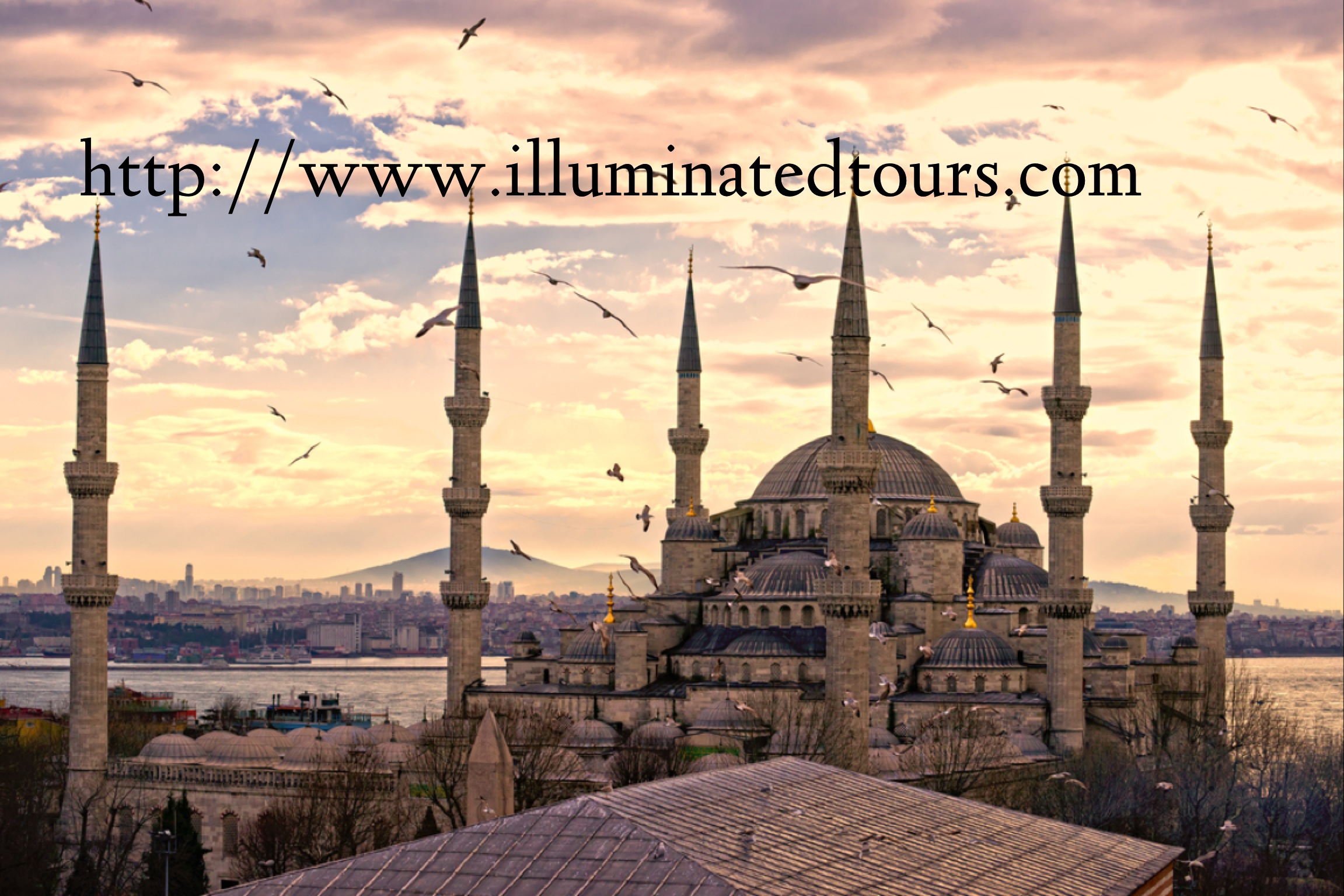 Illuminated Tours with website