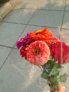 photo 1 (22)