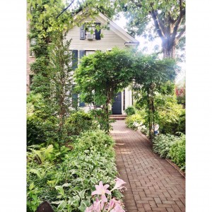 photo 4 (21)