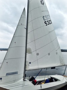 photo 5 (16)