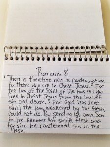 romans8