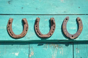 Description: three horseshoes hanging on a blue wall.