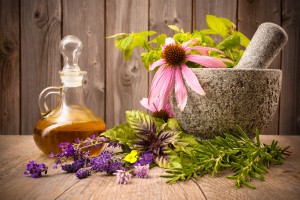 A photo of various herbs, an echinacea flower, a vial of oil, and a mortar and pestle.