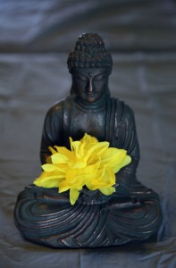 Image: buddha statue with a flower in its lap