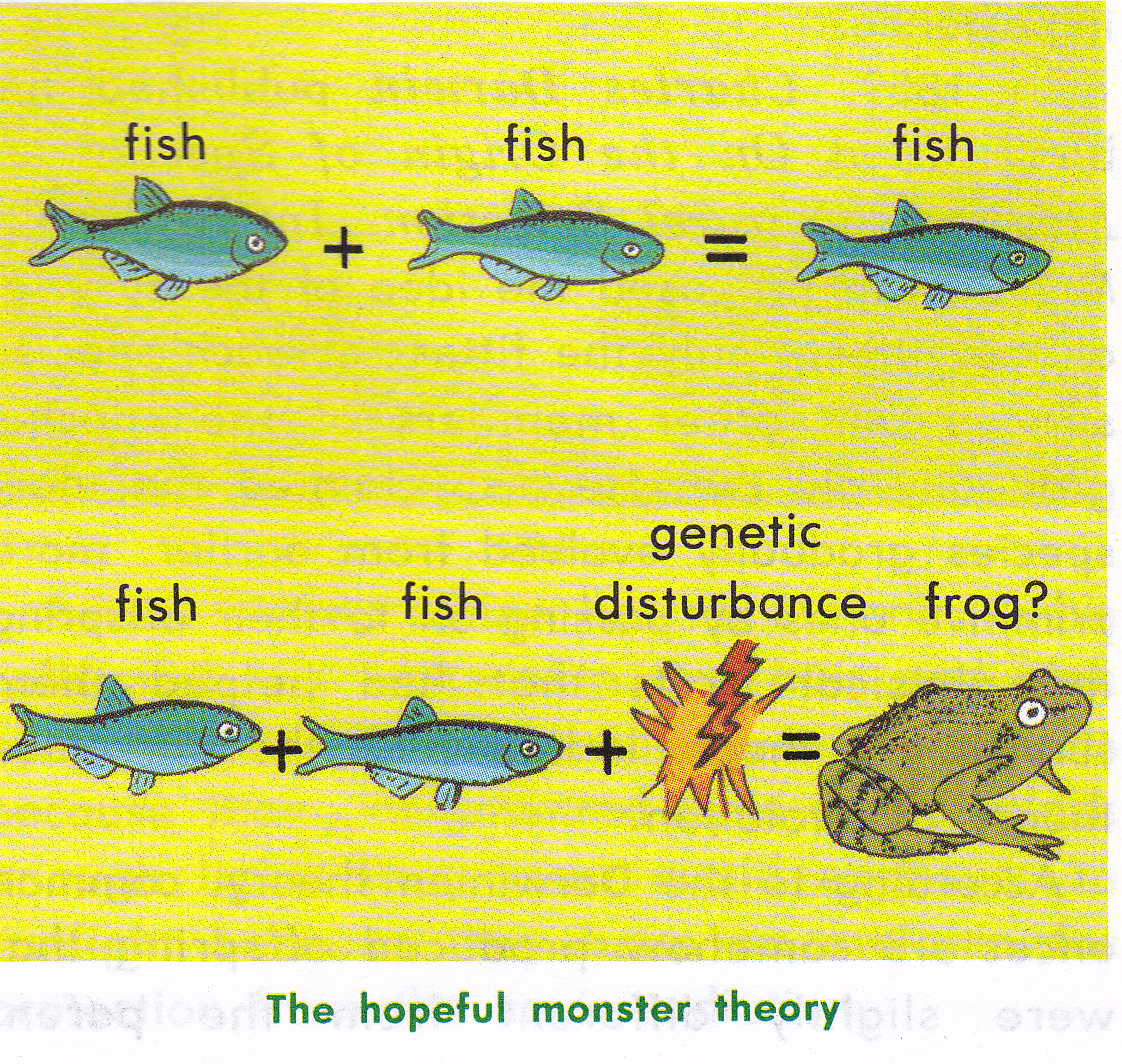 The Hopeful Monster Theory