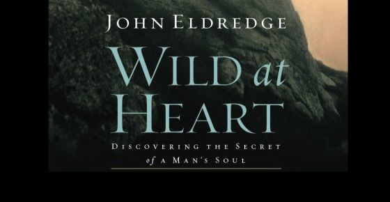 biblical truth of john eldredge wild at heart 2017