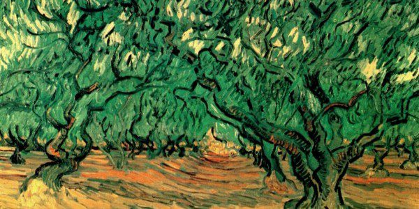Vincent Van Gogh - Olive Trees