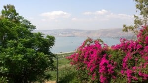 Photo: Marge Fenelon View of the Sea of Galilee from the Mount of the Beatitudes