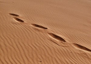 Foot Prints in Sand Flickr.com