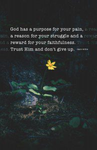 God has a purpose for your pain reason for struggle reward faith faithfulness trust Him don't give up quote inspirational Dave Willis davewillis.org