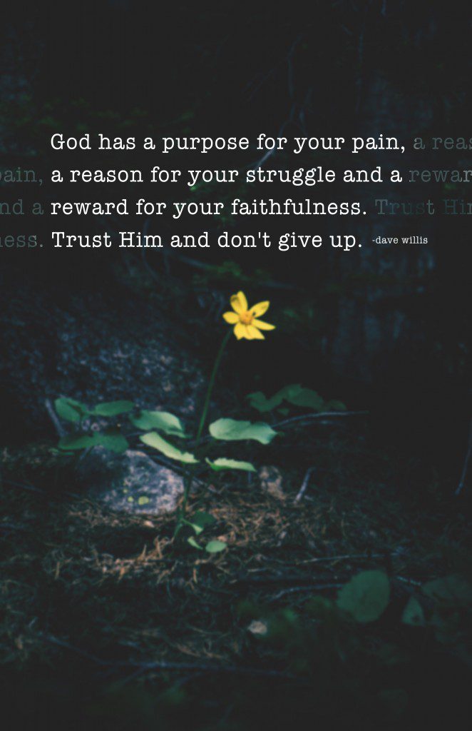 God has a purpose for your pain reason for struggle reward faith faithfulness trust Him don't give up quote inspirational Dave Willis davewillis.org