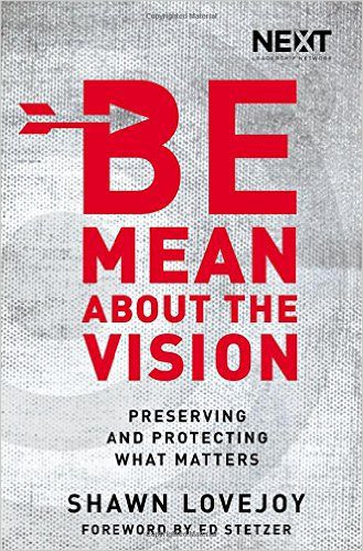 Be Mean about the vision by Shawn Lovejoy