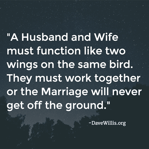 Dave Willis quote davewillis.org marriage husband wife function two wings on same bird work together