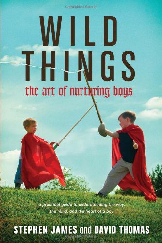  Wild Things: The Art of Nurturing Boys by Stephen James and David Thomas