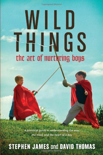 Wild Things: The Art of Nurturing Boys by Stephen James and David Thomas
